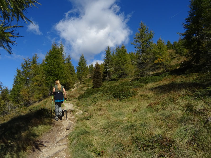 Catena dei Lagorai...da Pergine al Passo del Manghen